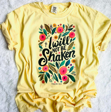 I will not be shaken