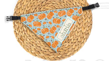 Load image into Gallery viewer, Pet Bandana