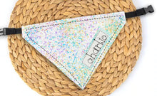 Load image into Gallery viewer, Pet Bandana