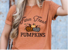 Load image into Gallery viewer, Farm Fresh Pumpkins