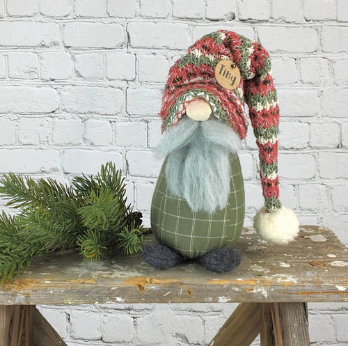 Tiny The Gnome