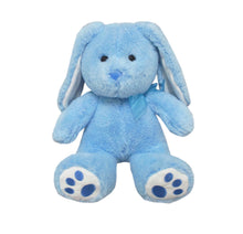 Load image into Gallery viewer, Personalized Plush Bunny