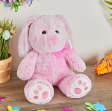Load image into Gallery viewer, Personalized Plush Bunny