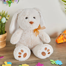 Load image into Gallery viewer, Personalized Plush Bunny