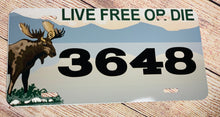 Load image into Gallery viewer, Personalized License Plate