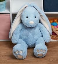 Load image into Gallery viewer, Personalized Plush Bunny - Long Ear